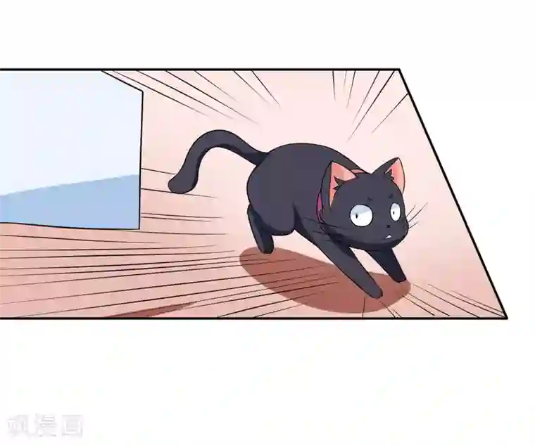 在下铲屎官：喵王在上第4话 偷腥的大老板？