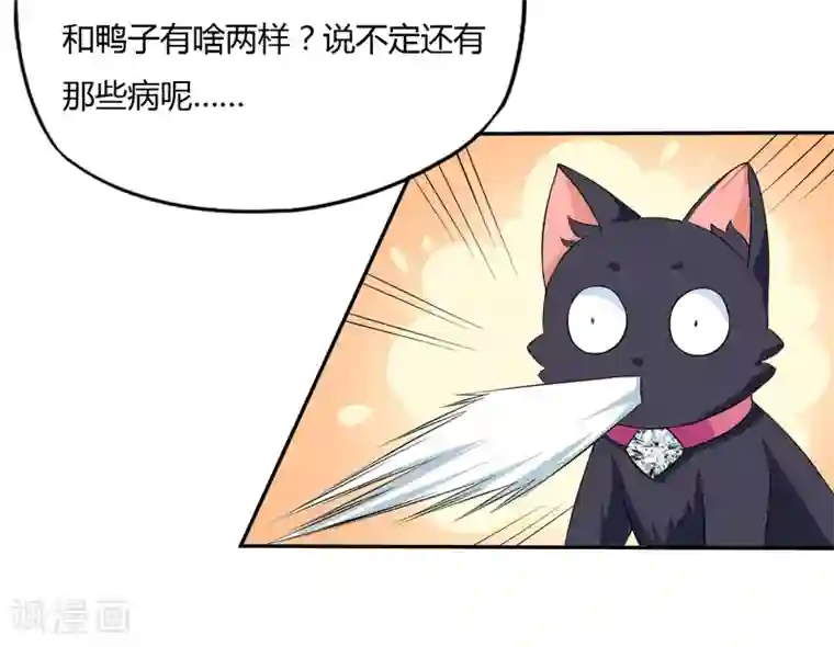 在下铲屎官：喵王在上第4话 偷腥的大老板？