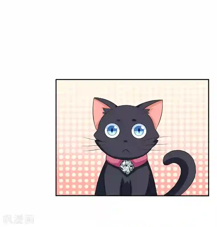 在下铲屎官：喵王在上第5话 还要吗