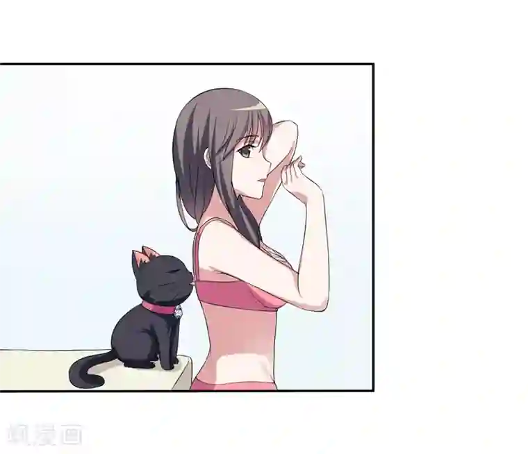 在下铲屎官：喵王在上第5话 还要吗