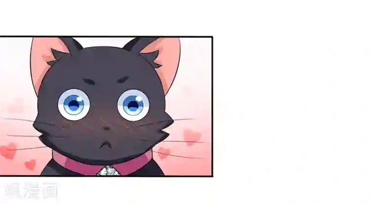 在下铲屎官：喵王在上第5话 还要吗