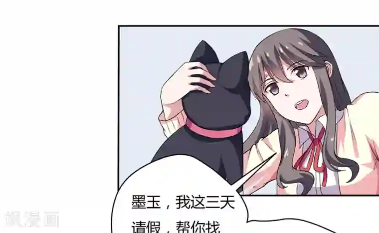 在下铲屎官：喵王在上第5话 还要吗