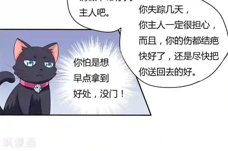 在下铲屎官：喵王在上第5话 还要吗