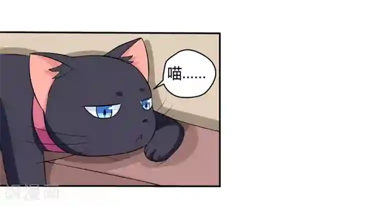 在下铲屎官：喵王在上第6话 宇宙无敌狂霸酷拽炫