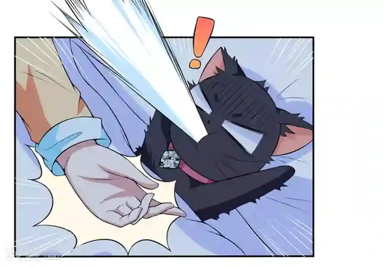 在下铲屎官：喵王在上第6话 宇宙无敌狂霸酷拽炫