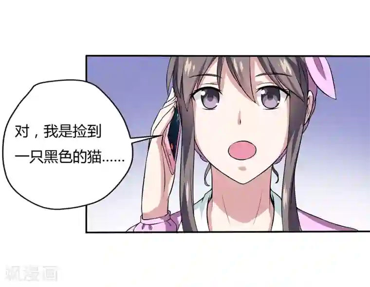 在下铲屎官：喵王在上第6话 宇宙无敌狂霸酷拽炫