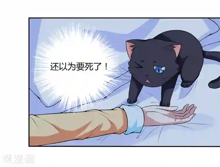 在下铲屎官：喵王在上第6话 宇宙无敌狂霸酷拽炫