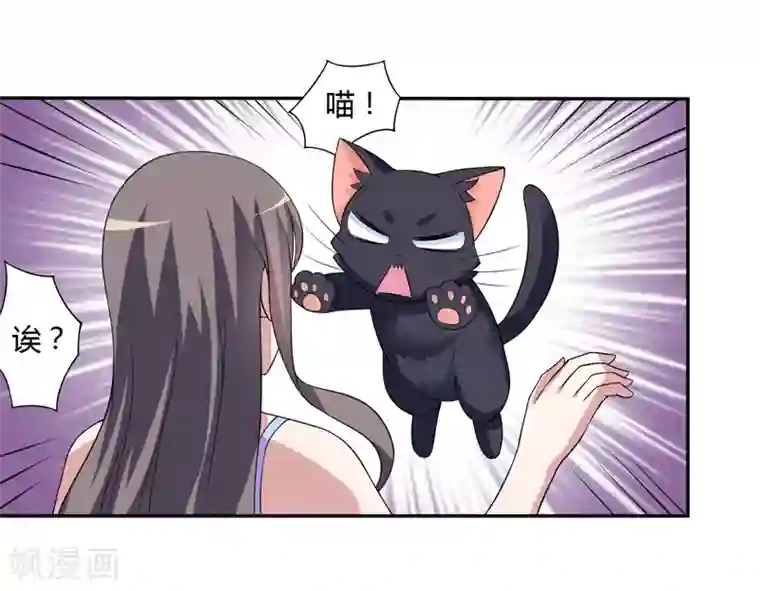 在下铲屎官：喵王在上第7话 谁是你们的主母？