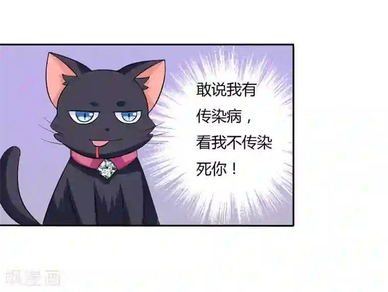 在下铲屎官：喵王在上第7话 谁是你们的主母？