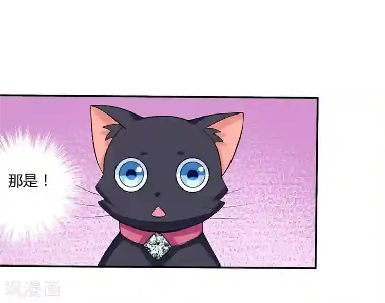 在下铲屎官：喵王在上第7话 谁是你们的主母？