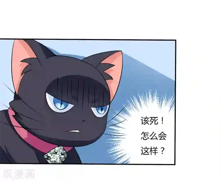 在下铲屎官：喵王在上第7话 谁是你们的主母？