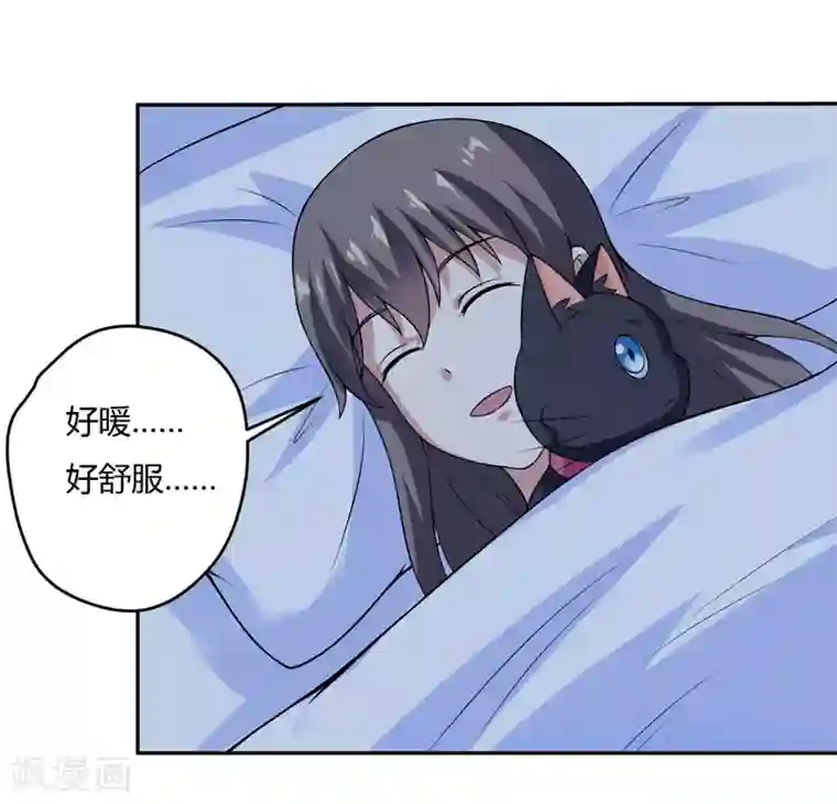 在下铲屎官：喵王在上第7话 谁是你们的主母？