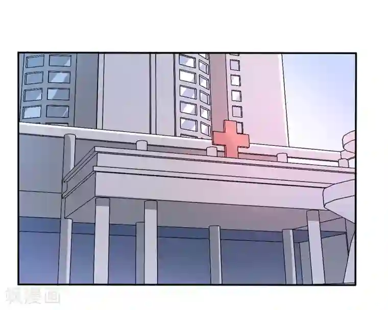 在下铲屎官：喵王在上第7话 谁是你们的主母？