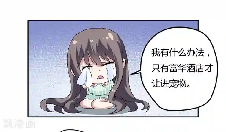 在下铲屎官：喵王在上第7话 谁是你们的主母？