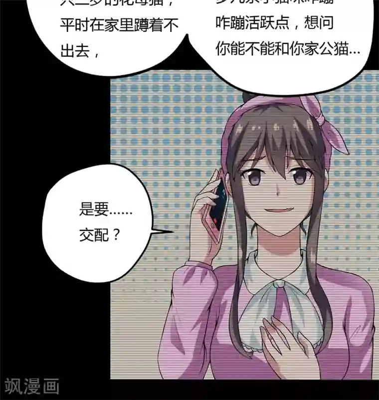 在下铲屎官：喵王在上第7话 谁是你们的主母？