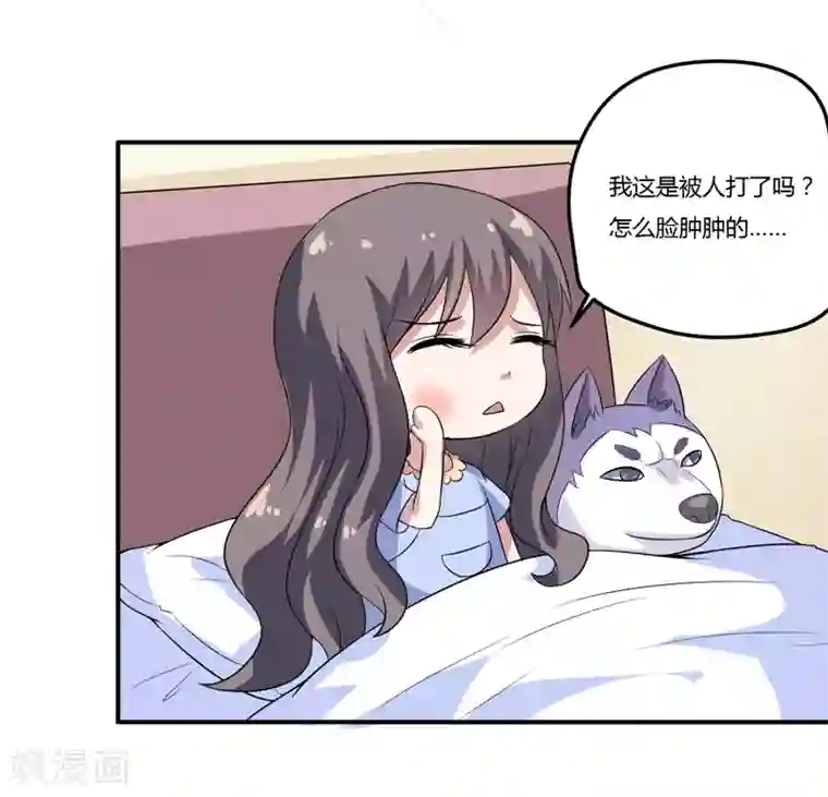 在下铲屎官：喵王在上第10话 墨玉的主人