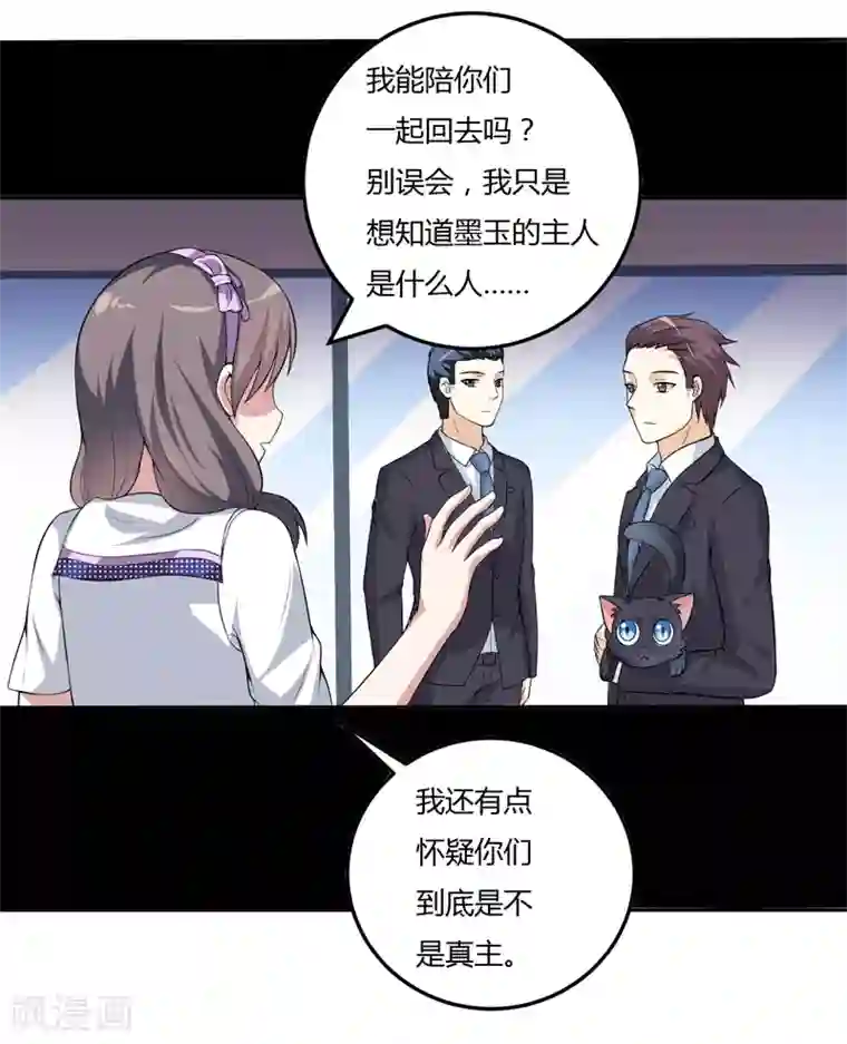 在下铲屎官：喵王在上第11话 我们以前见过吗？