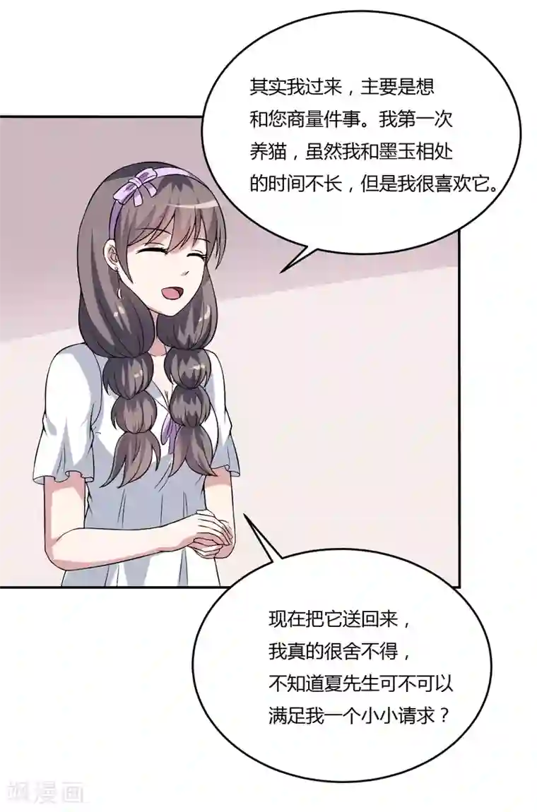 在下铲屎官：喵王在上第11话 我们以前见过吗？