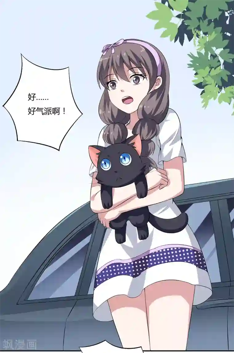 在下铲屎官：喵王在上第11话 我们以前见过吗？