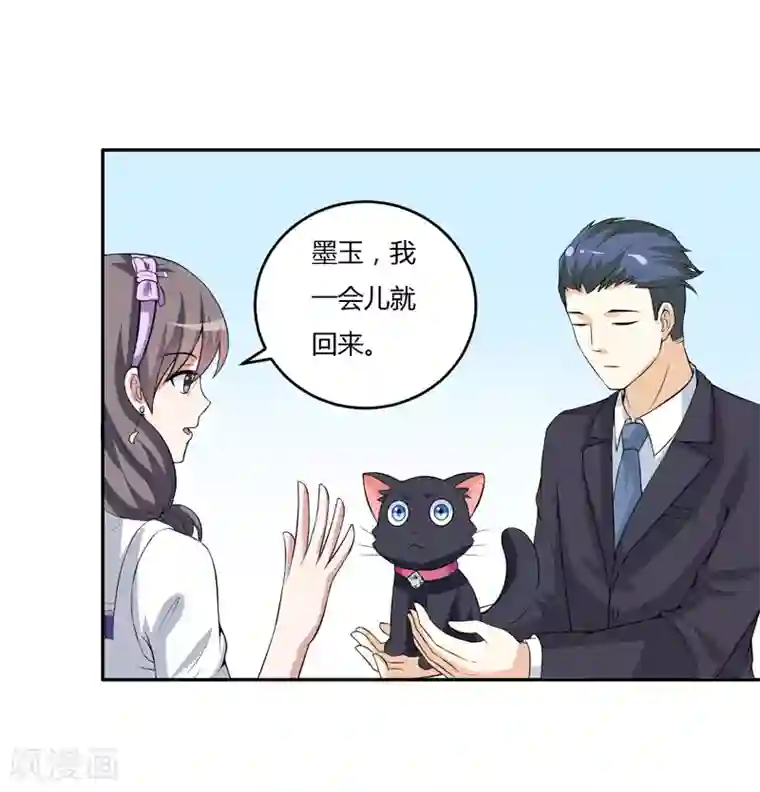 在下铲屎官：喵王在上第11话 我们以前见过吗？