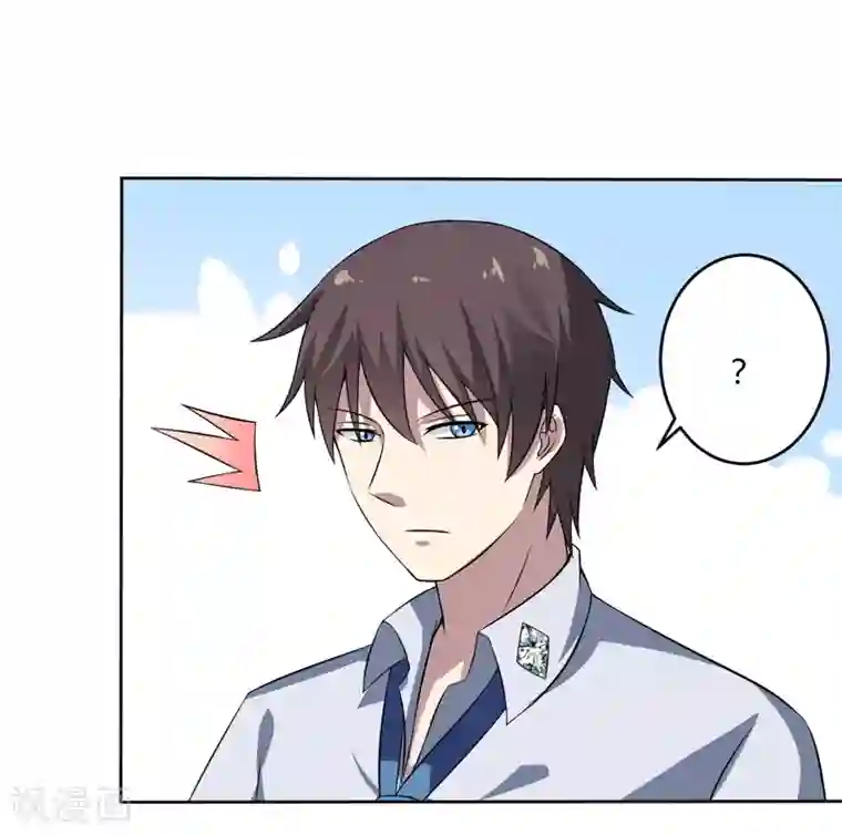 在下铲屎官：喵王在上第12话 住进大别墅