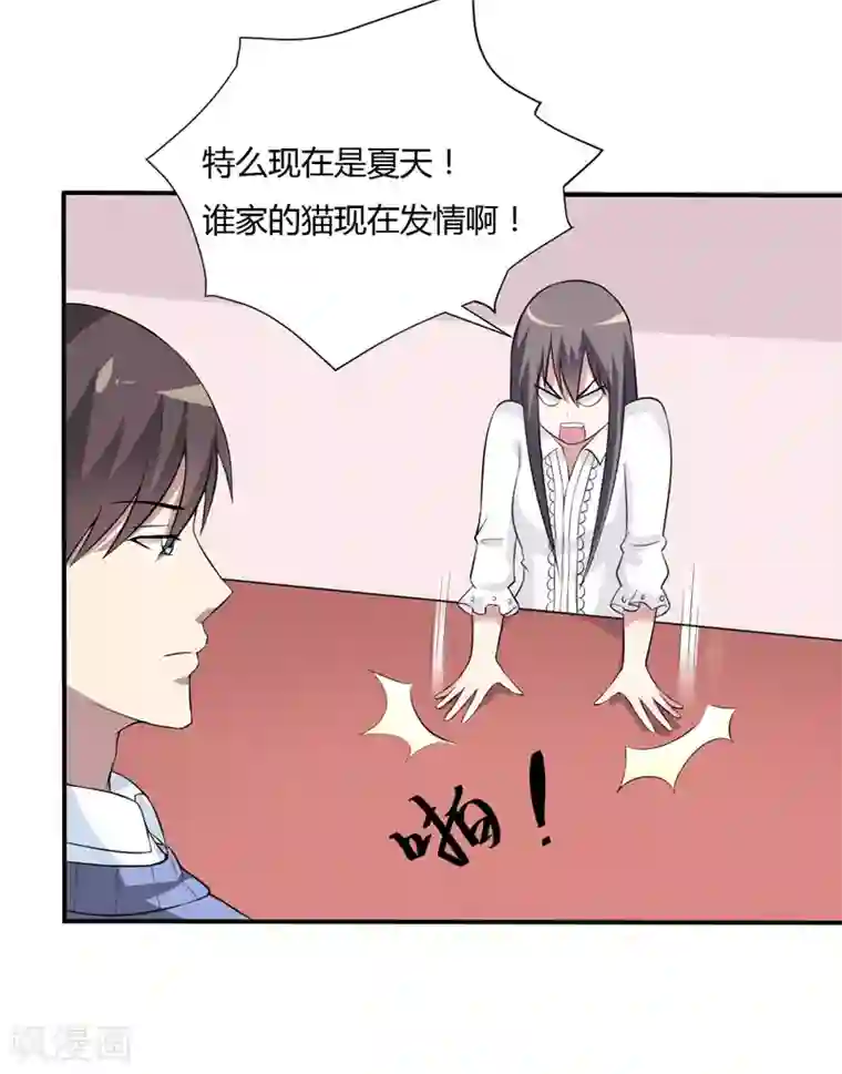 在下铲屎官：喵王在上第13话 艰巨的任务