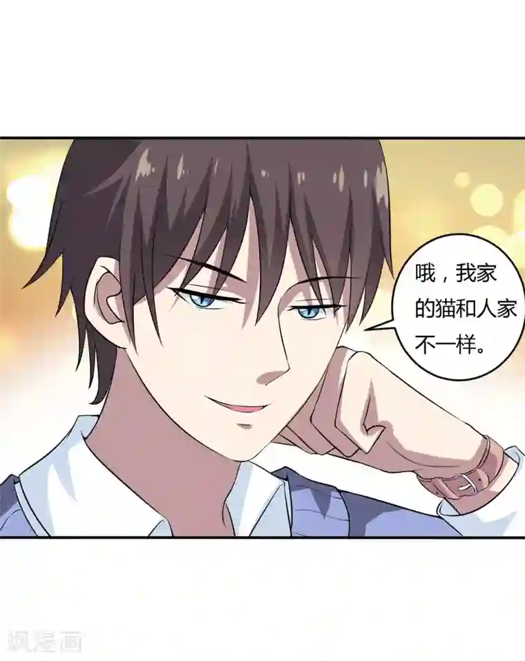 在下铲屎官：喵王在上第13话 艰巨的任务