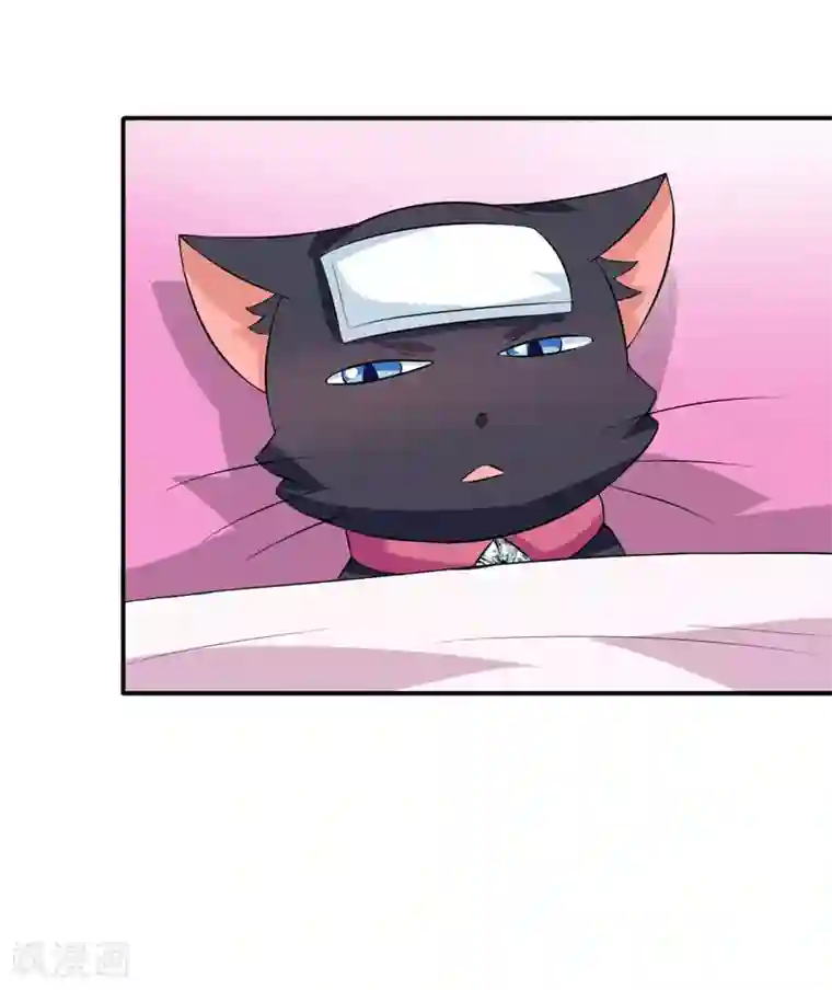 在下铲屎官：喵王在上第15话 浴室晕倒