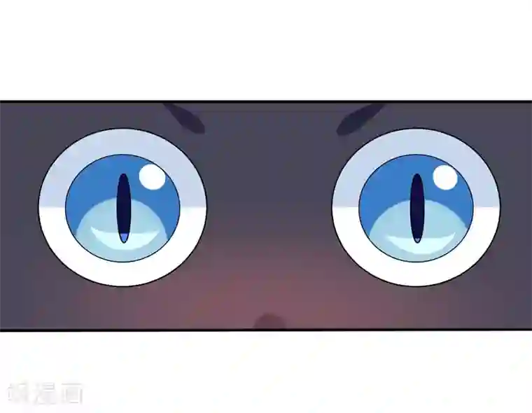 在下铲屎官：喵王在上第15话 浴室晕倒