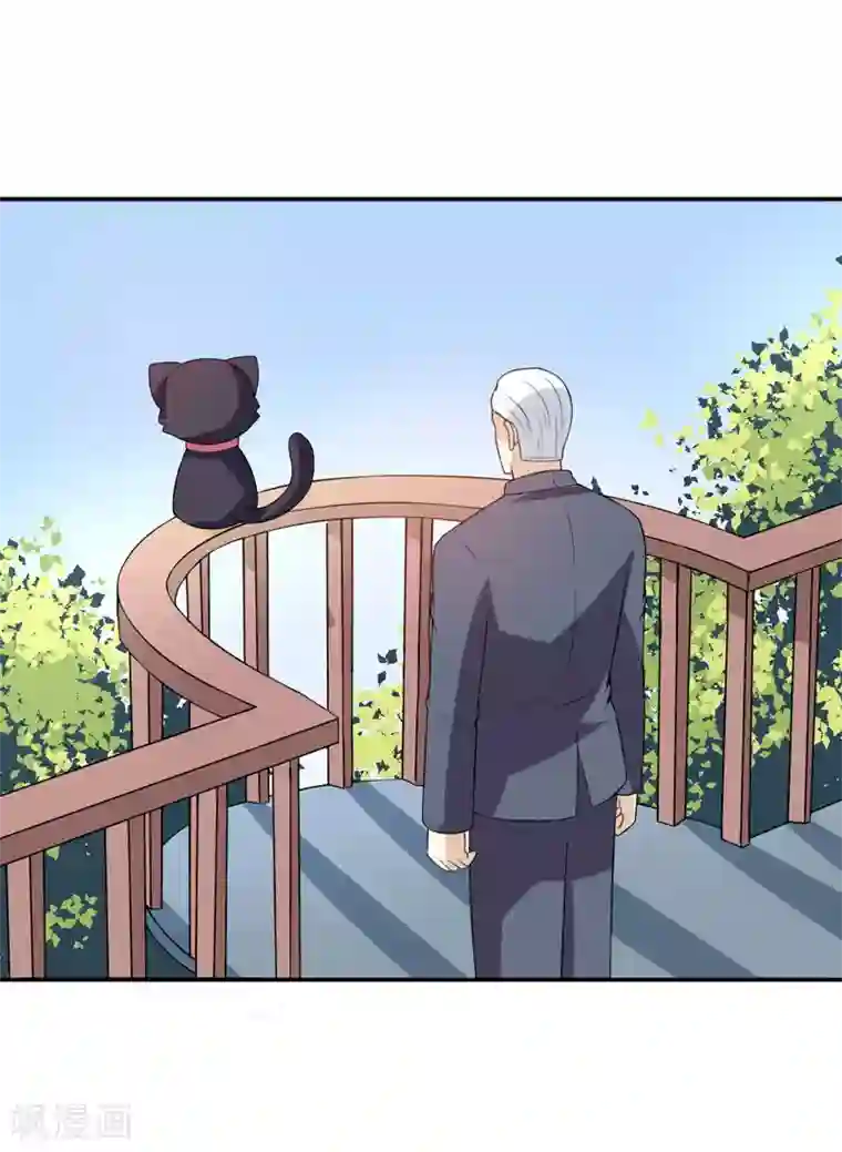 在下铲屎官：喵王在上第20话 让我来满足你吧！