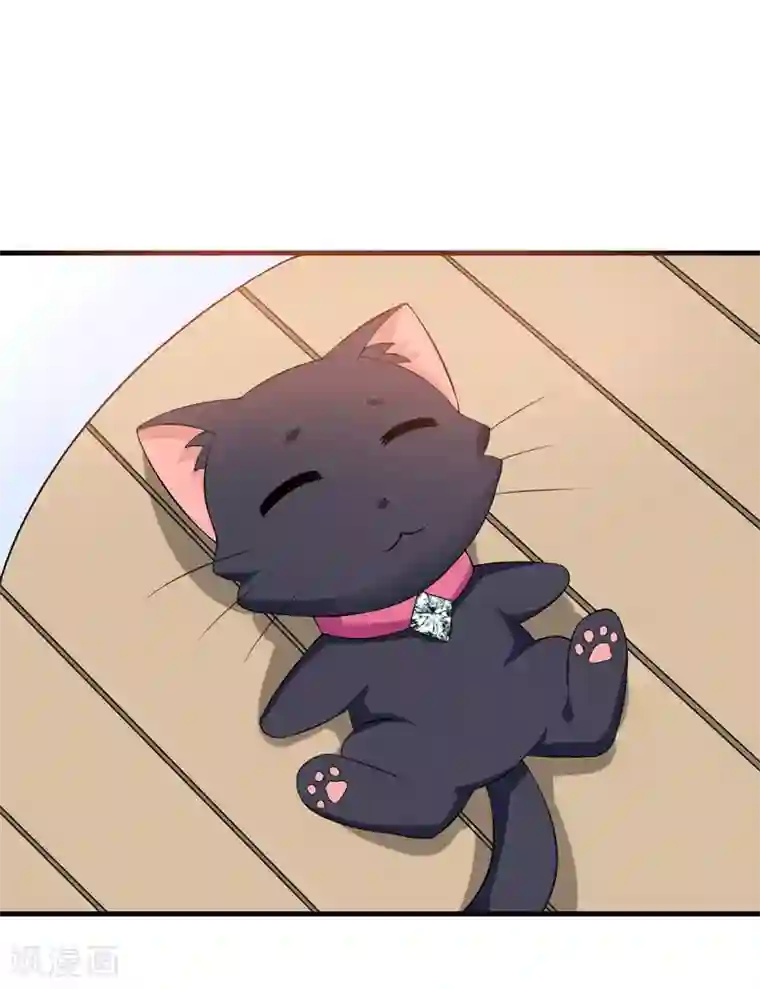 在下铲屎官：喵王在上第22话 被赶出别墅