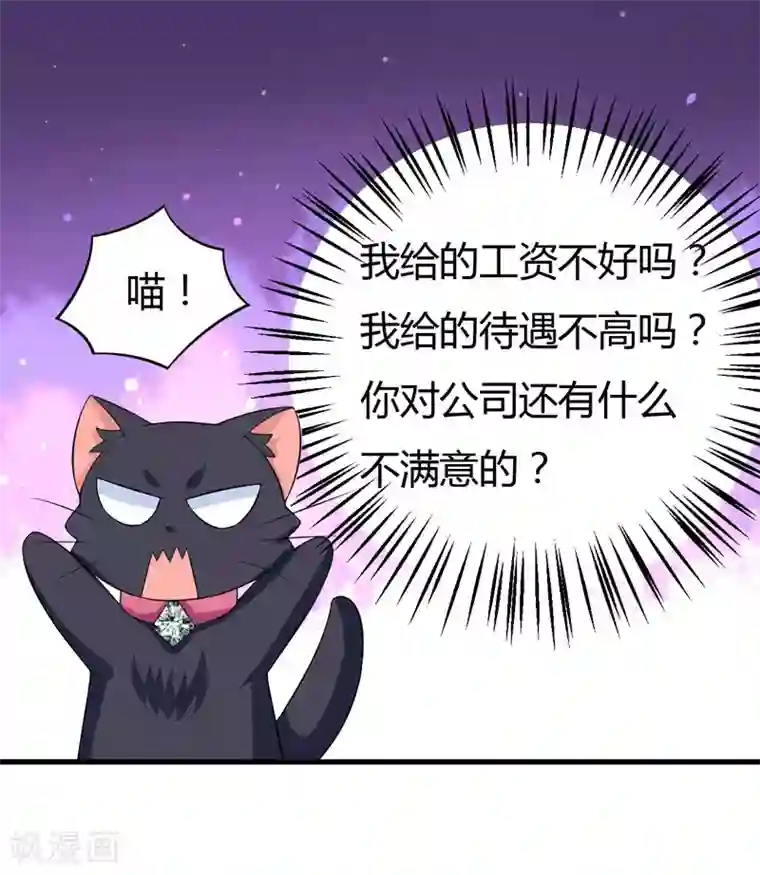 在下铲屎官：喵王在上第24话 下半辈子的“幸福”