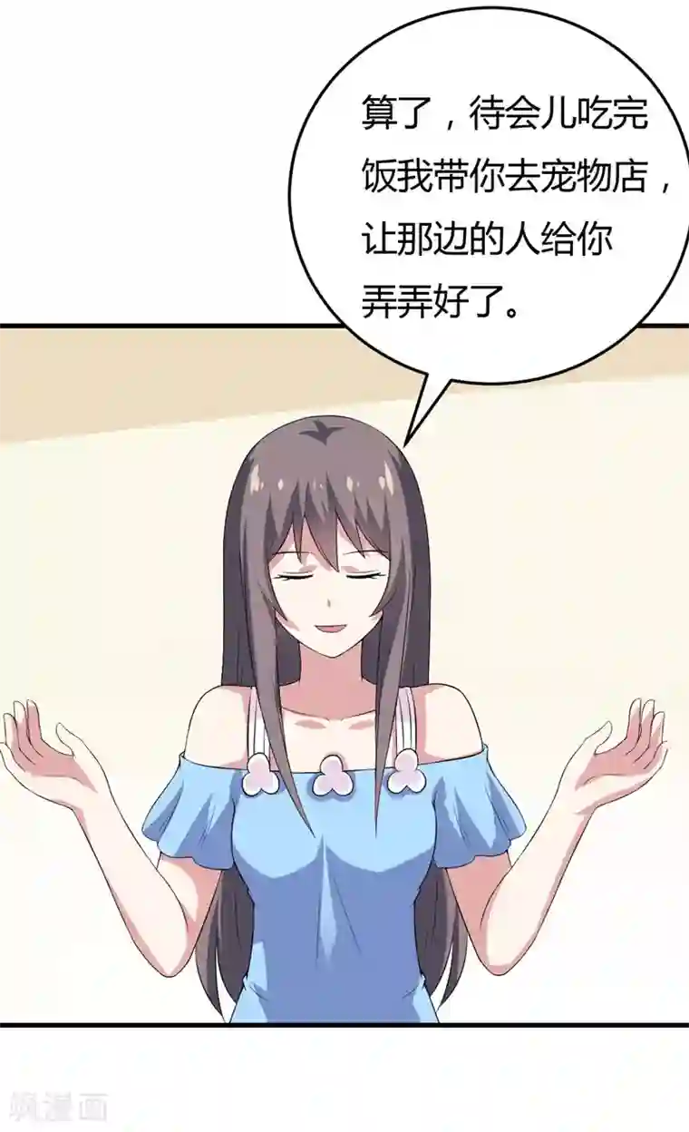 在下铲屎官：喵王在上第24话 下半辈子的“幸福”