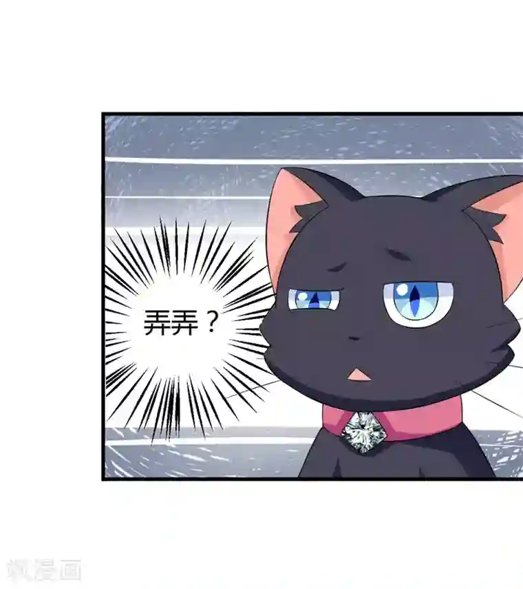 在下铲屎官：喵王在上第24话 下半辈子的“幸福”