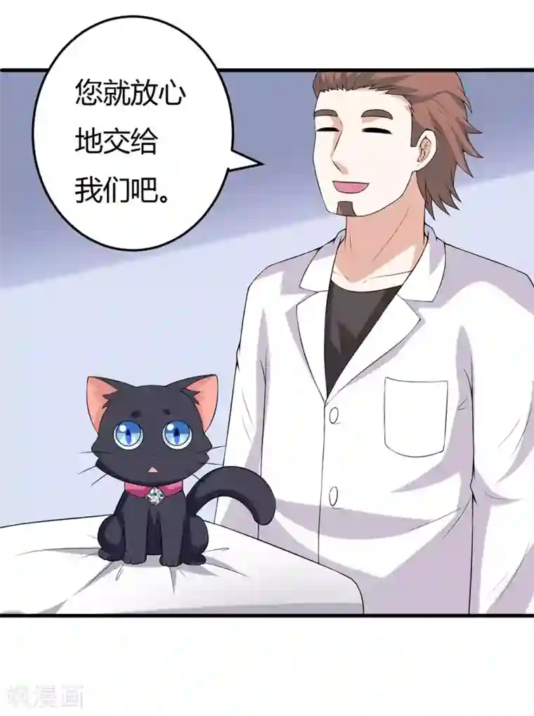 在下铲屎官：喵王在上第24话 下半辈子的“幸福”