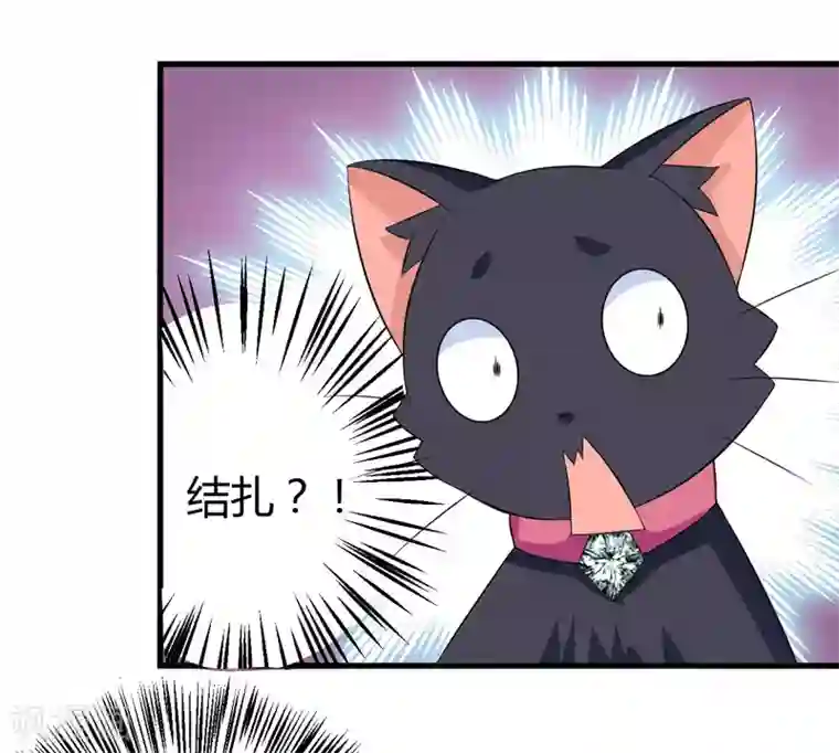 在下铲屎官：喵王在上第24话 下半辈子的“幸福”