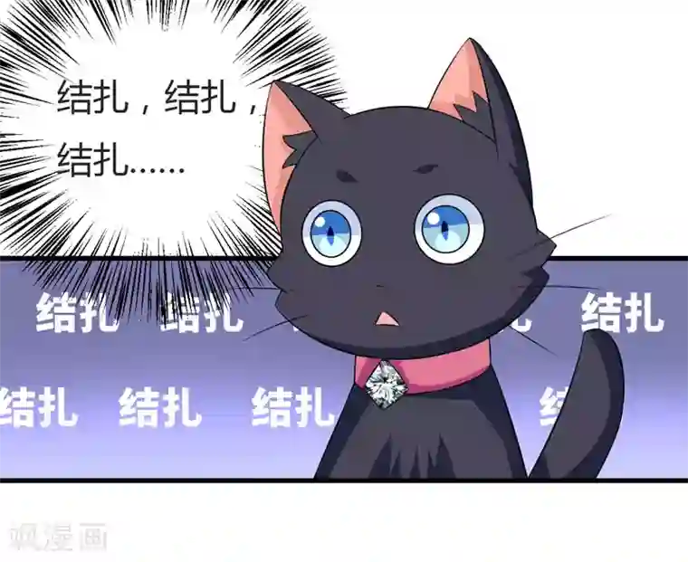 在下铲屎官：喵王在上第24话 下半辈子的“幸福”