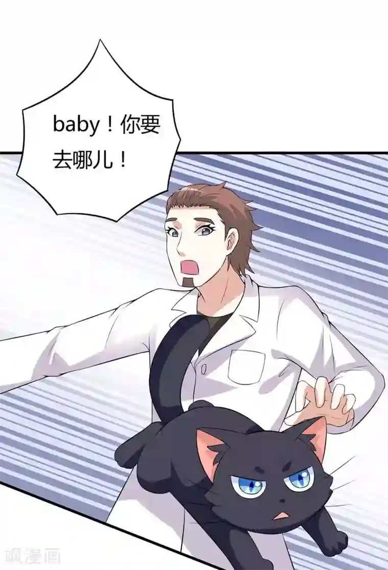 在下铲屎官：喵王在上第24话 下半辈子的“幸福”