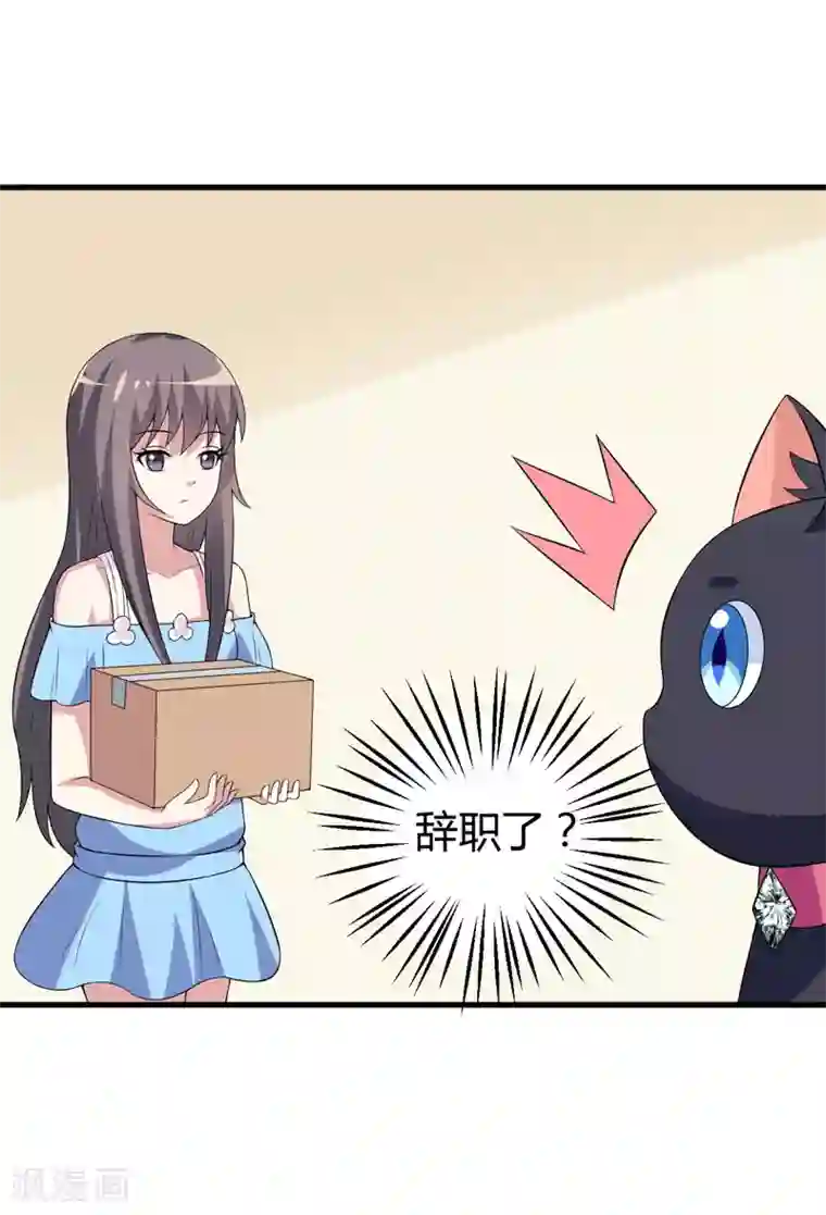 在下铲屎官：喵王在上第24话 下半辈子的“幸福”