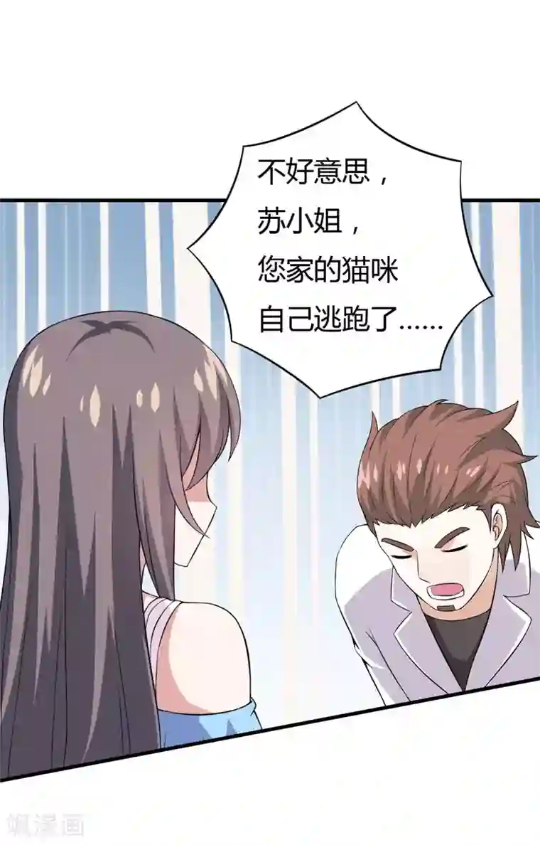 在下铲屎官：喵王在上第25话 我也来体验生活