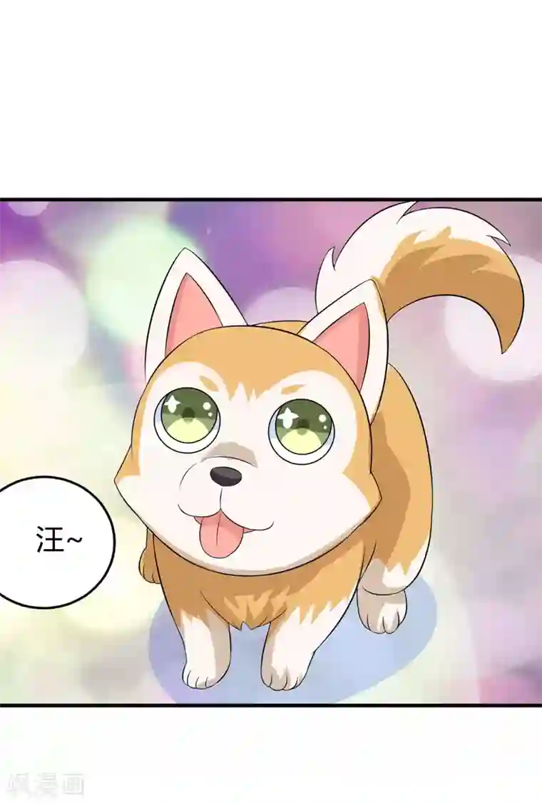 在下铲屎官：喵王在上第25话 我也来体验生活