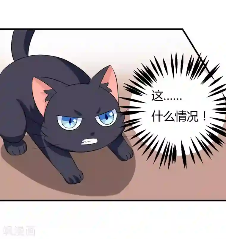 在下铲屎官：喵王在上第25话 我也来体验生活