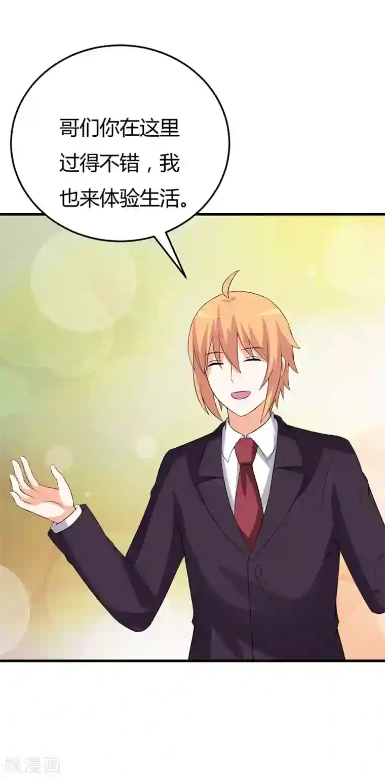 在下铲屎官：喵王在上第25话 我也来体验生活