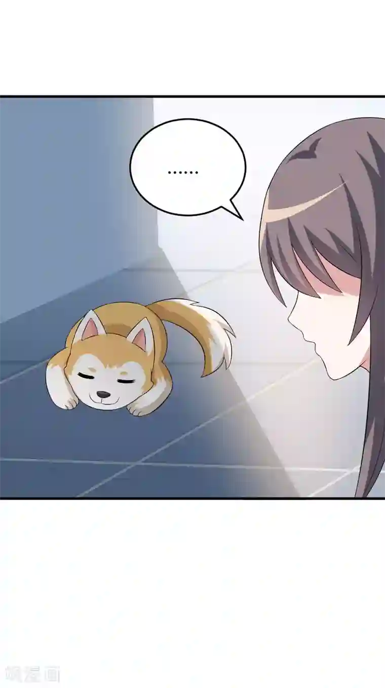 在下铲屎官：喵王在上第25话 我也来体验生活