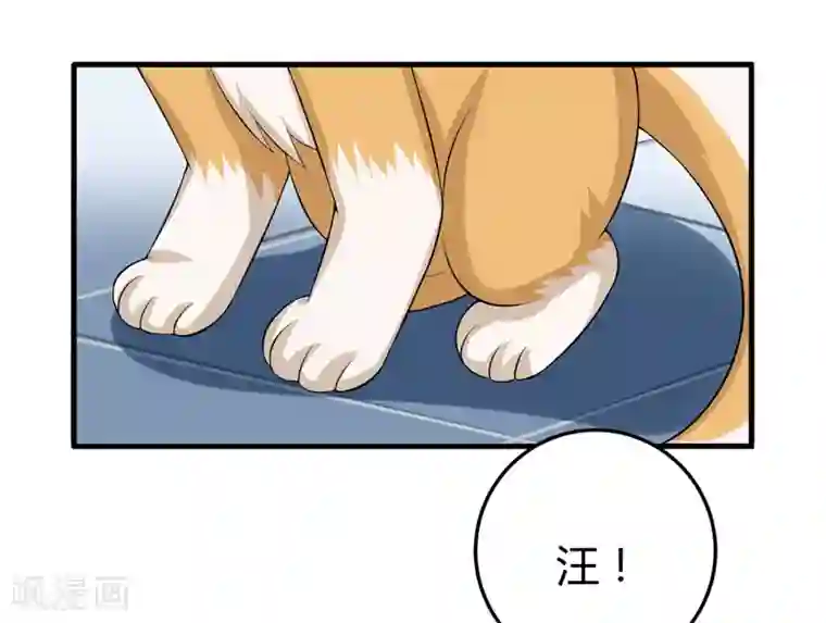 在下铲屎官：喵王在上第25话 我也来体验生活