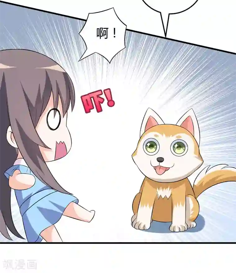 在下铲屎官：喵王在上第25话 我也来体验生活