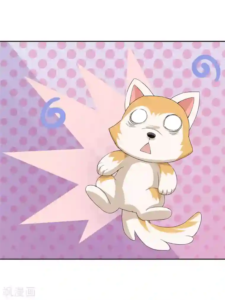 在下铲屎官：喵王在上第26话 我一直都讨厌你