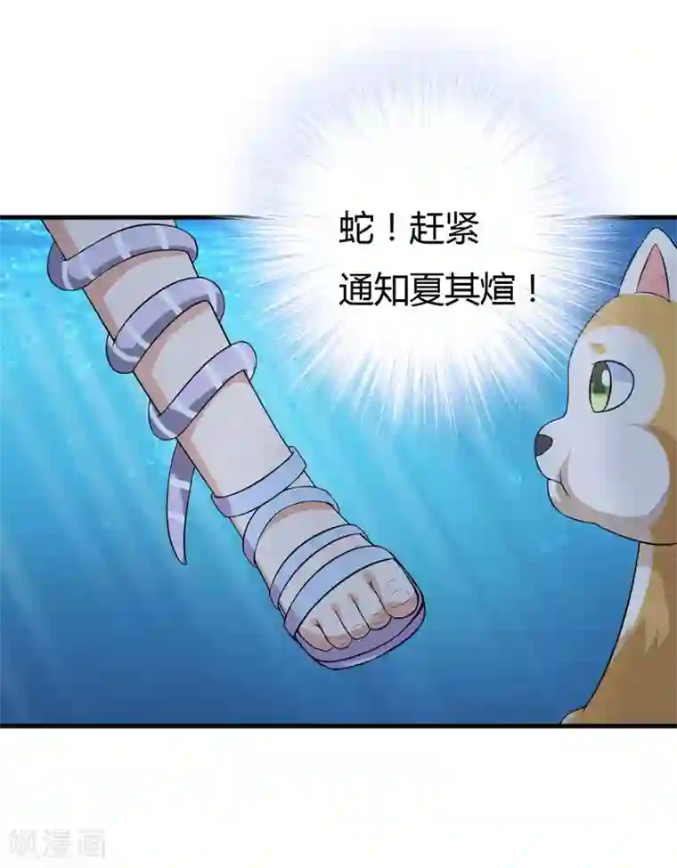 在下铲屎官：喵王在上第28话 水蛇的袭击