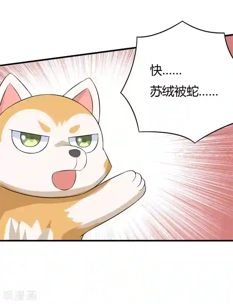 在下铲屎官：喵王在上第28话 水蛇的袭击