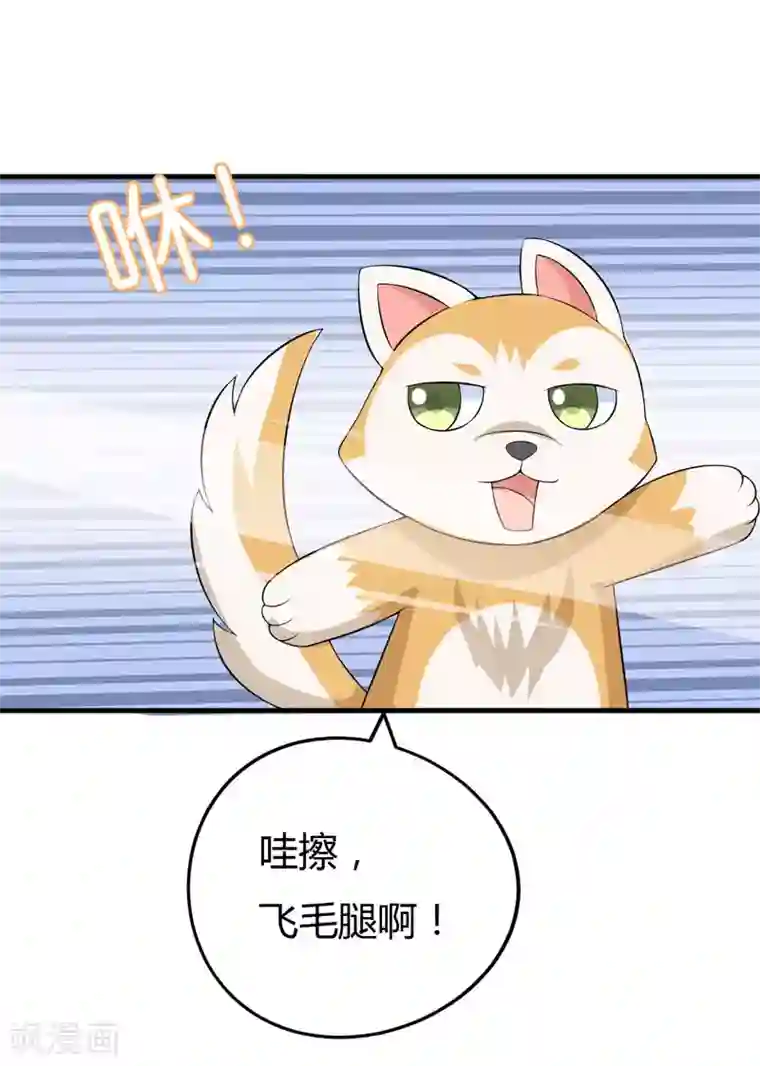 在下铲屎官：喵王在上第28话 水蛇的袭击